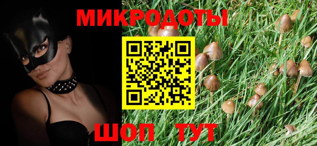 Галлюциногенные грибы Psilocybe Воскресенск