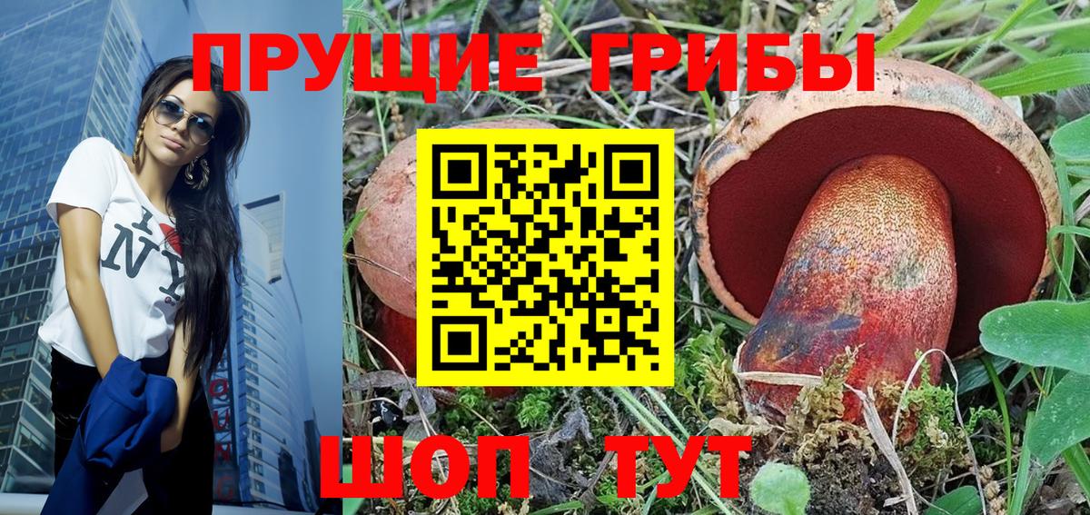 что такое   Вход с VPN  Воскресенск  Псилоцибиновые грибы Psilocybe 
